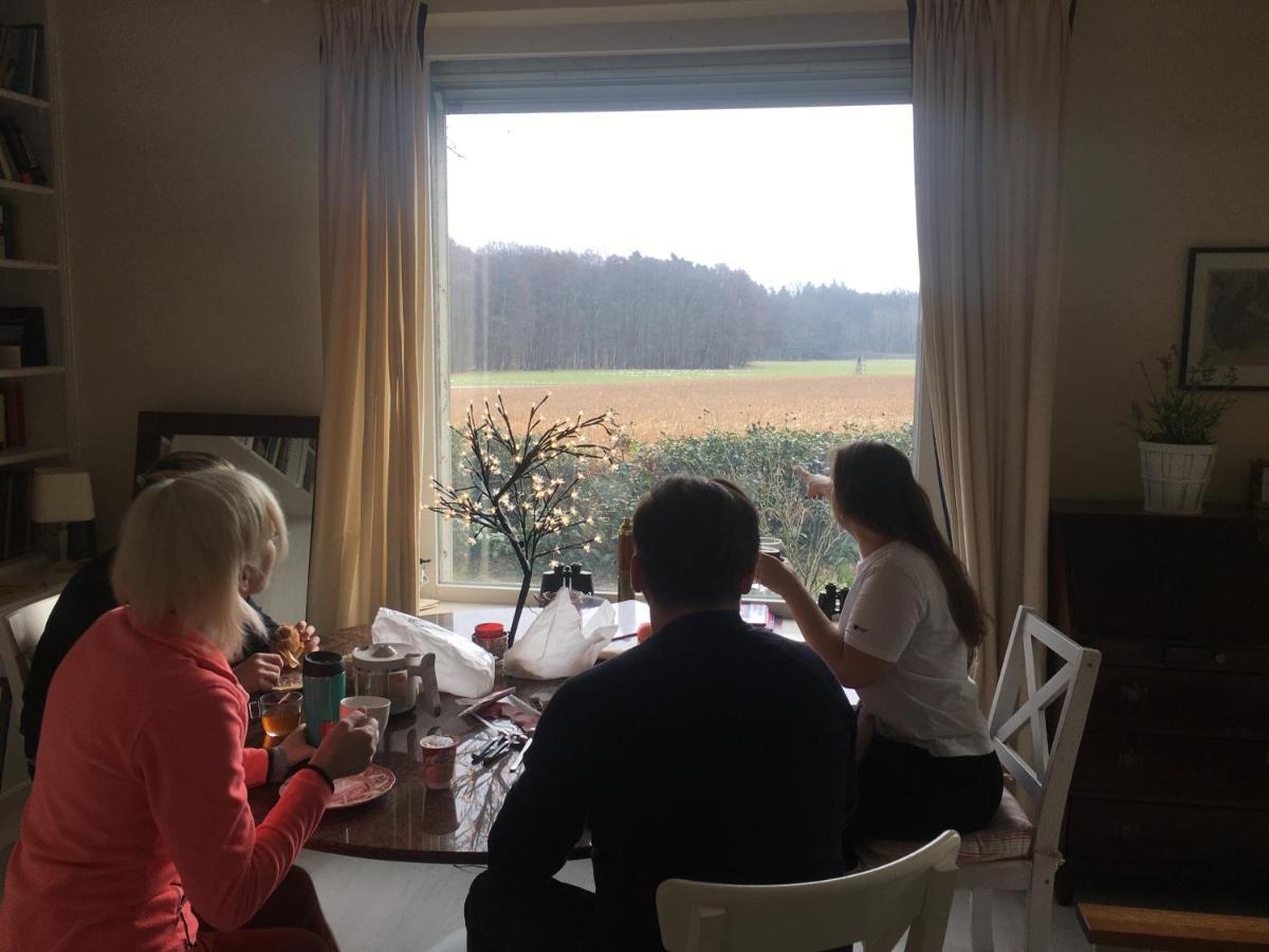 Wunderschones Haus Mit Herrlichem Panoramablick ลือเนอบวร์ก ภายนอก รูปภาพ