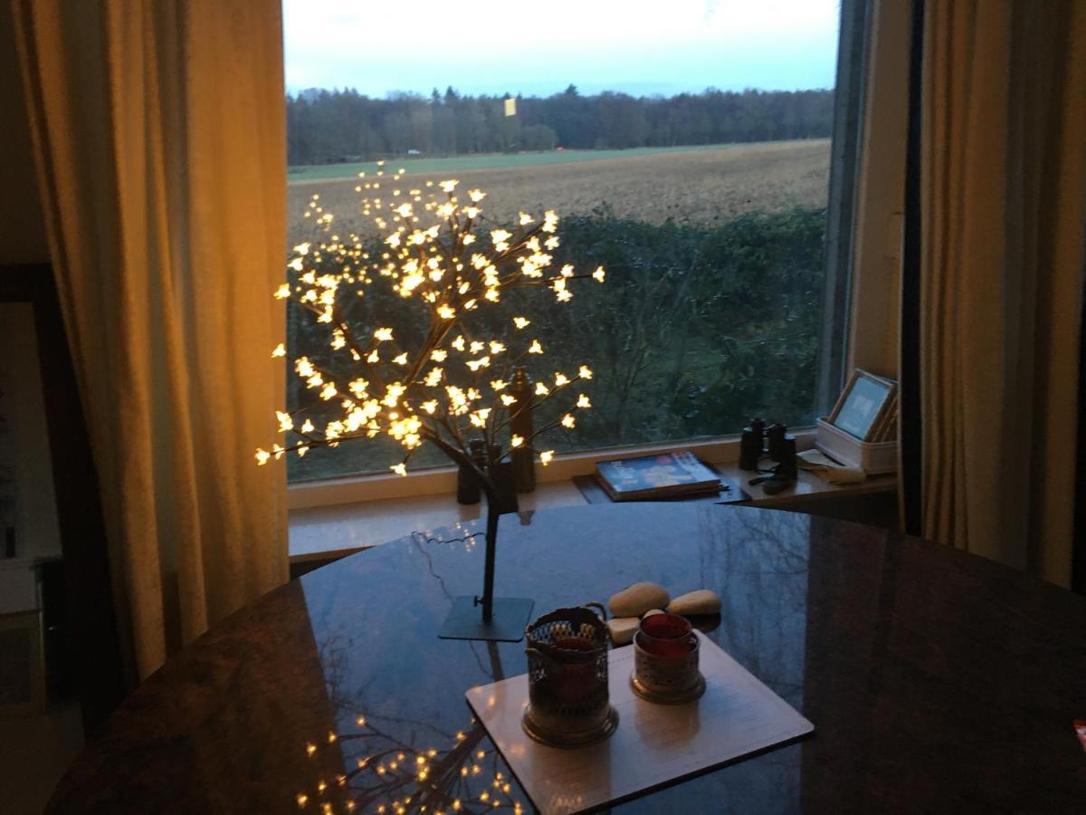 Wunderschones Haus Mit Herrlichem Panoramablick ลือเนอบวร์ก ภายนอก รูปภาพ